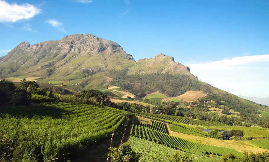 Panorama of a vineyard in the south of Franschhoek close to Cape Town. South Africa