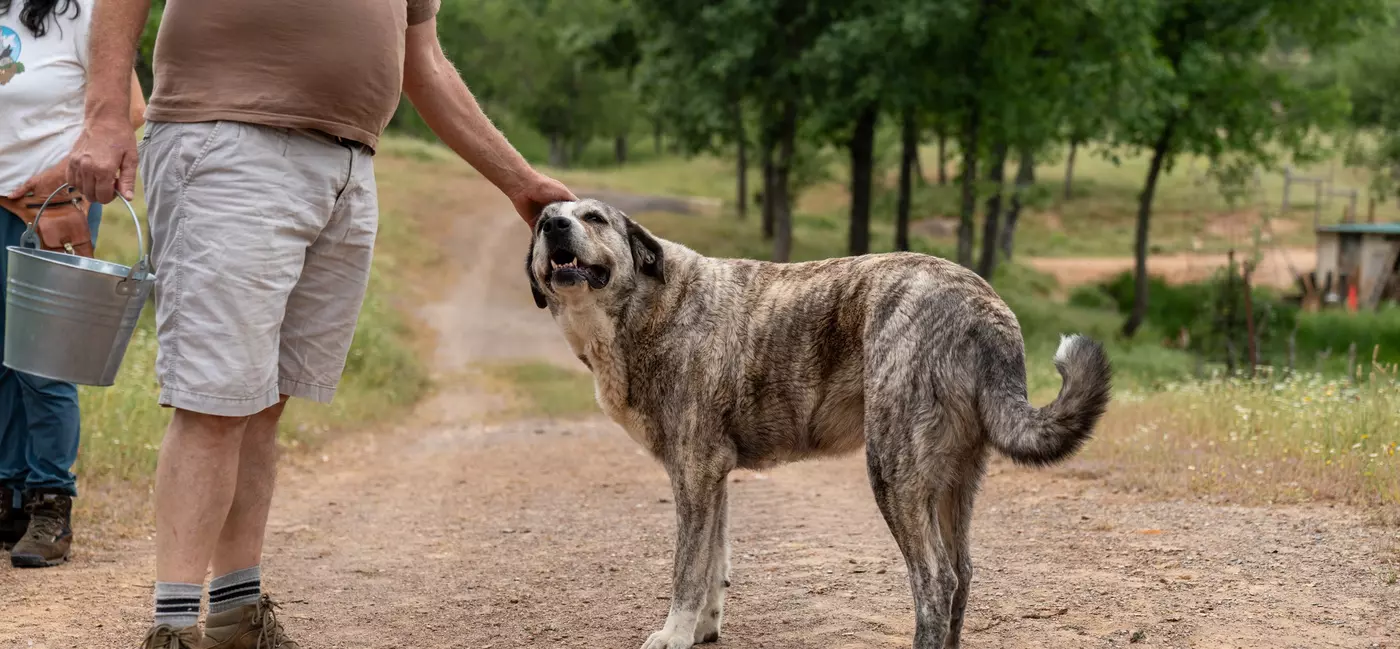 Here you can get hands-on with cheesemaking and taking care of the small farm's animals.