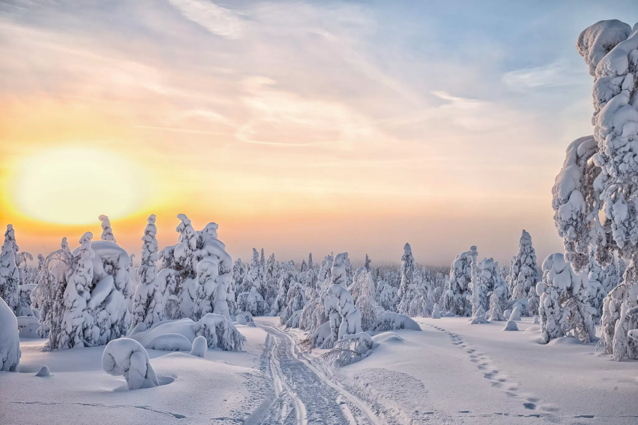 View of a winter landscape during sunset in Lapland, Finland.