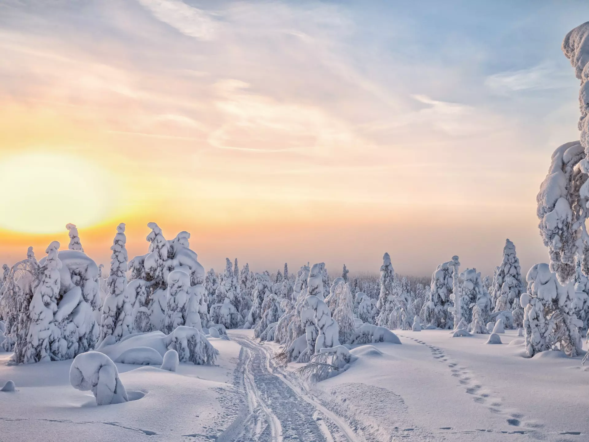 View of a winter landscape during sunset in Lapland, Finland.
