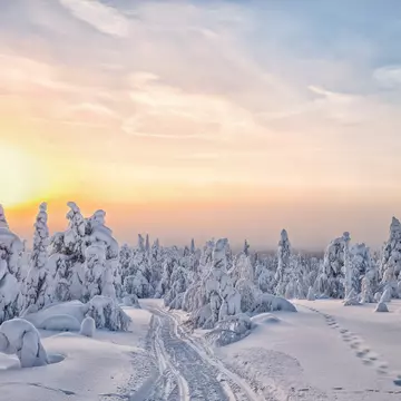 View of a winter landscape during sunset in Lapland, Finland.