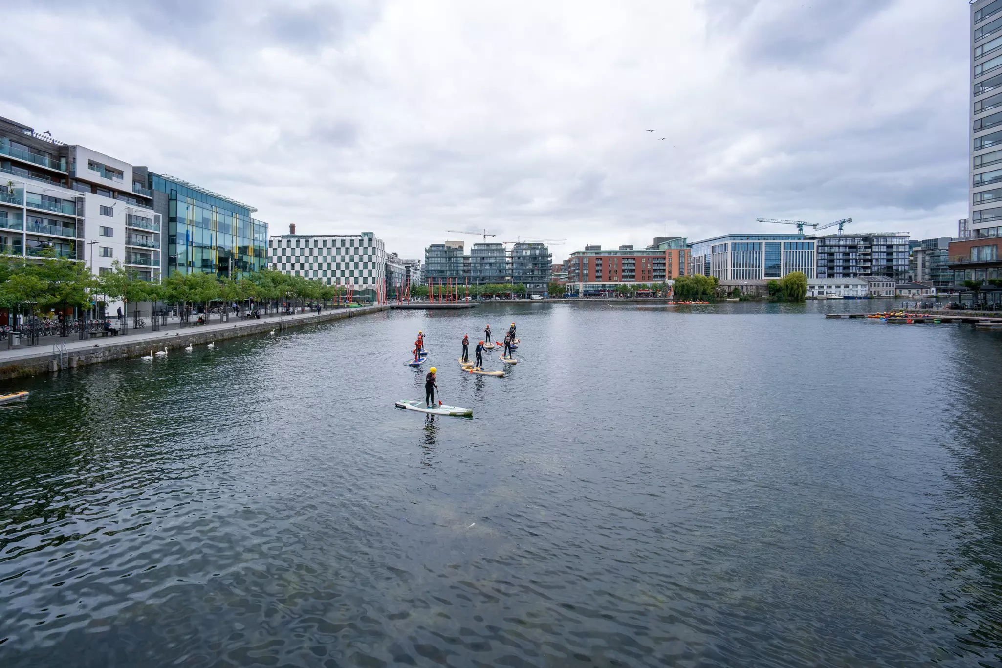 Stand-up paddleboarders in a basin surrounded by modern apartment and office buidlings.