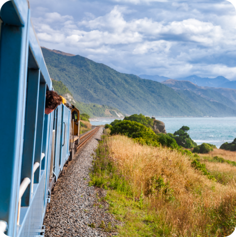Coastal Pacific train, New Zealand 
