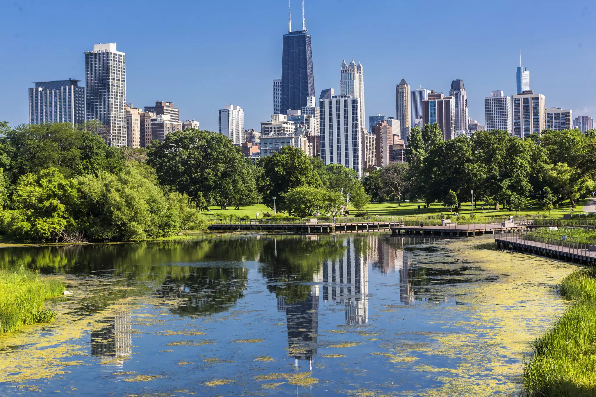 Chicago skyline with skyscrapers viewed from Lincoln Park