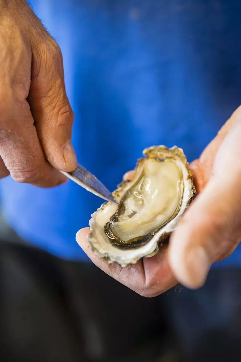 Man cutting out oyster from shell with knife. France
