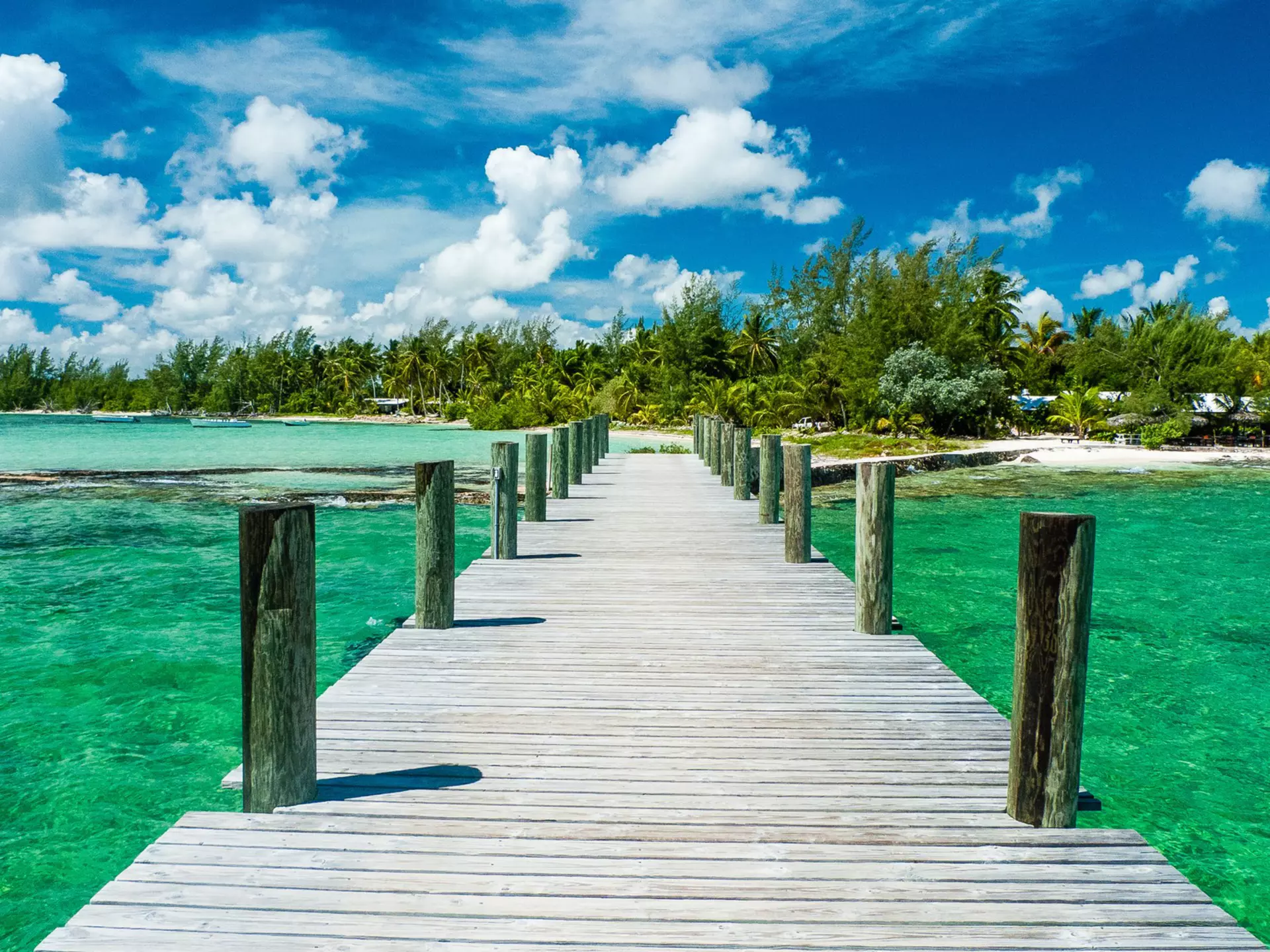 The island of Andros, the Bahamas. Troutnut/Shutterstock