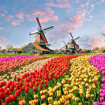 Traditional dutch windmills and houses near the canal in Zaanstad village, Zaanse Schans, Netherlands, Europe