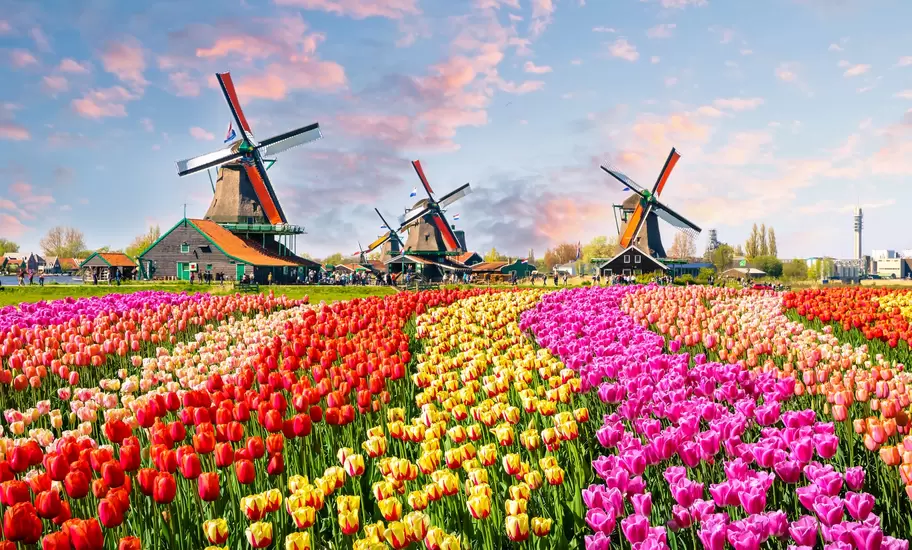 Traditional dutch windmills and houses near the canal in Zaanstad village, Zaanse Schans, Netherlands, Europe