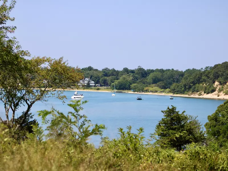 Looking past the greenery to the boats in the bay off the coast of Shelter Island.