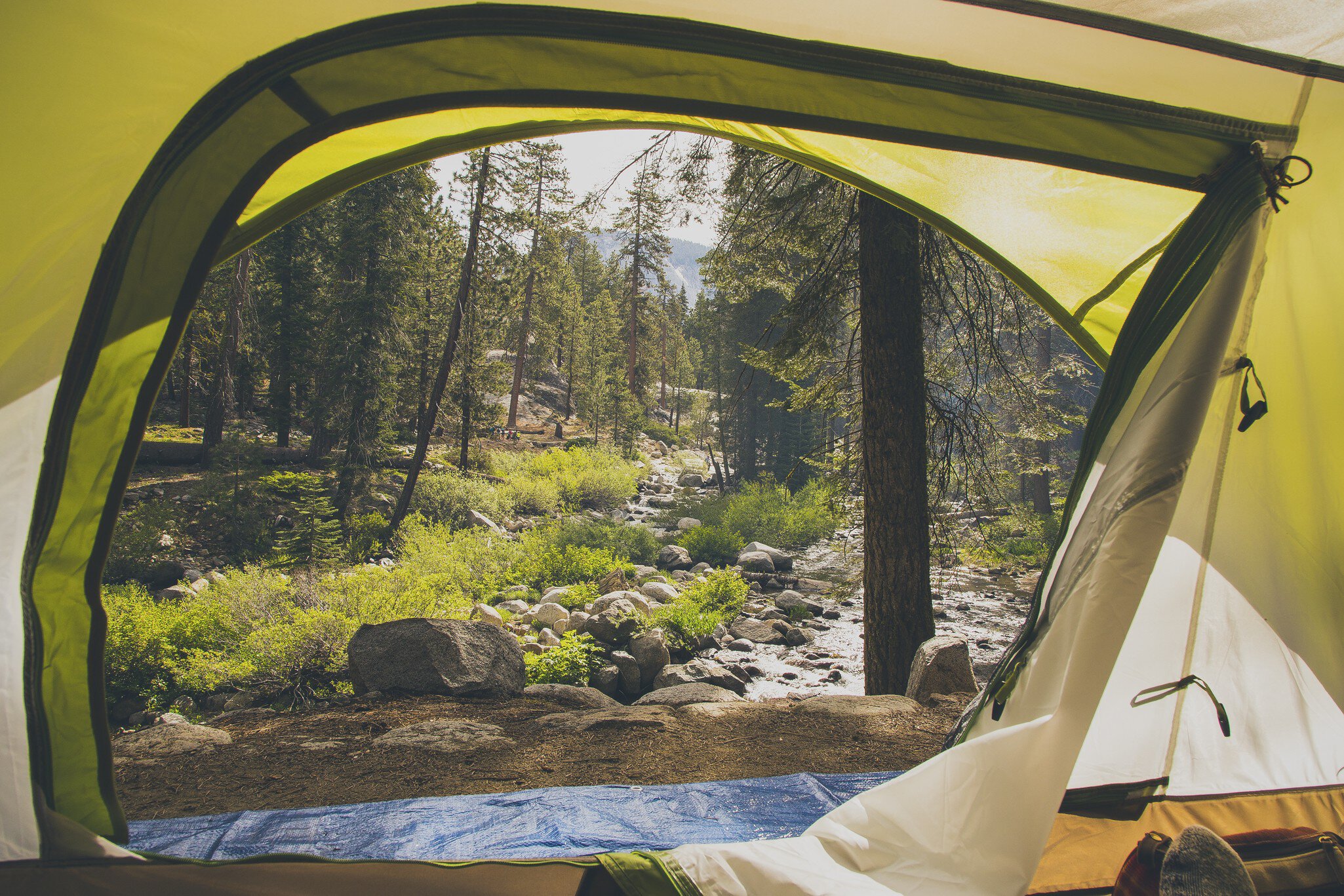 The opening of a yellow tent frames trees in the wilderness.