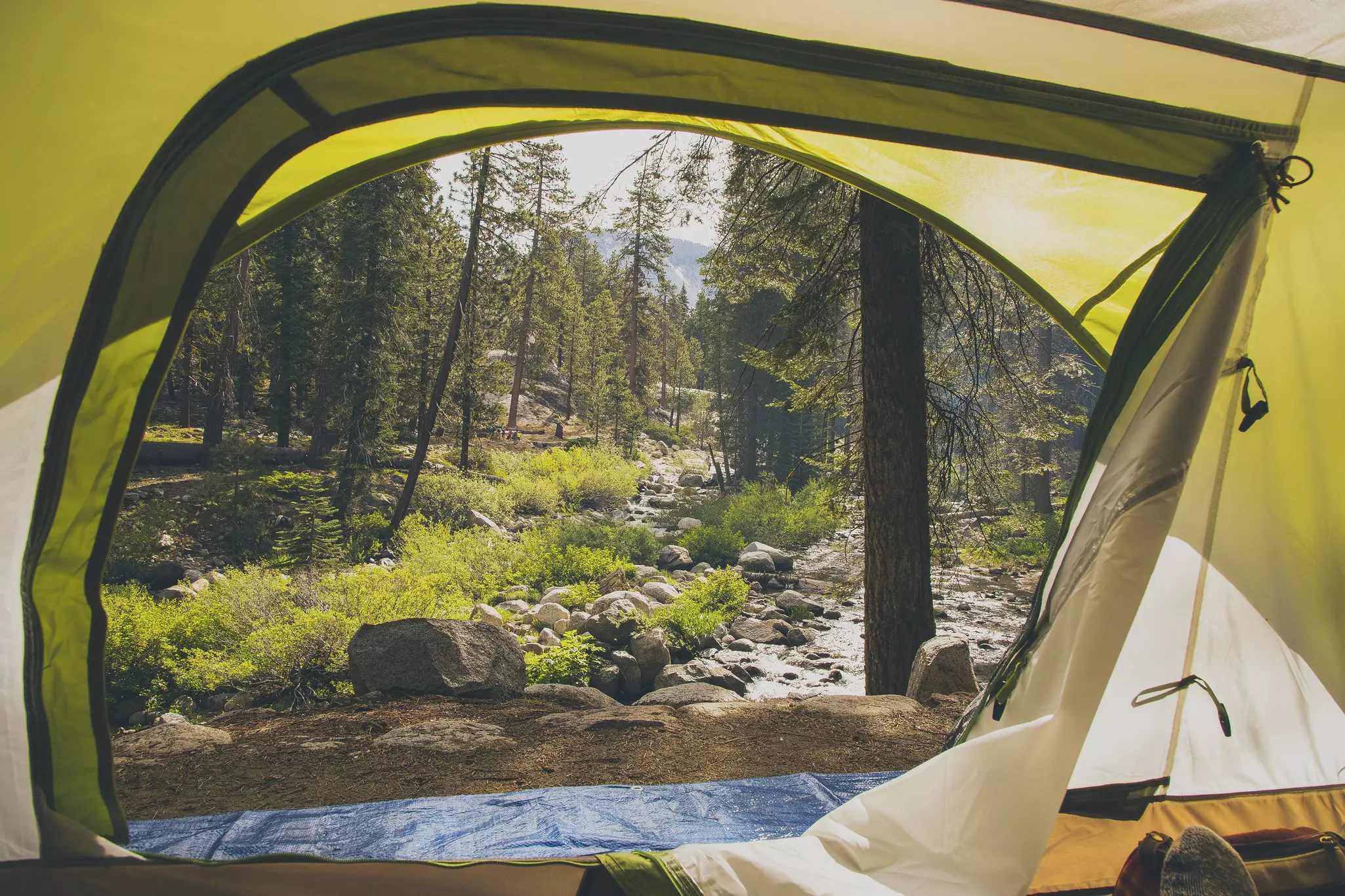 A view of trees through the opening of a tent