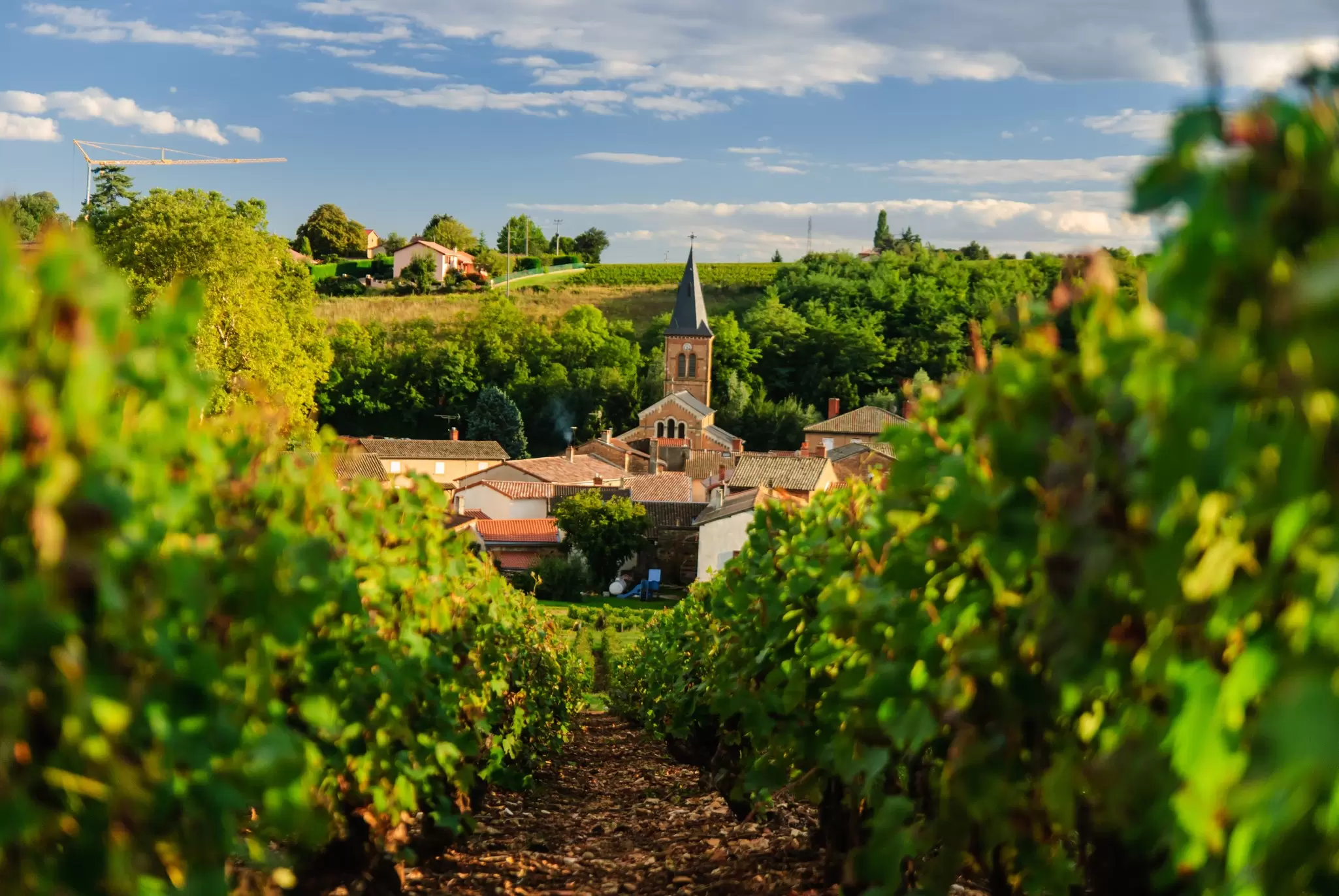 With scenic vineyards, charming historic villages and a thriving artisan scene, Beaujolais is the place to unwind. Marcin Kurek/Shutterstock