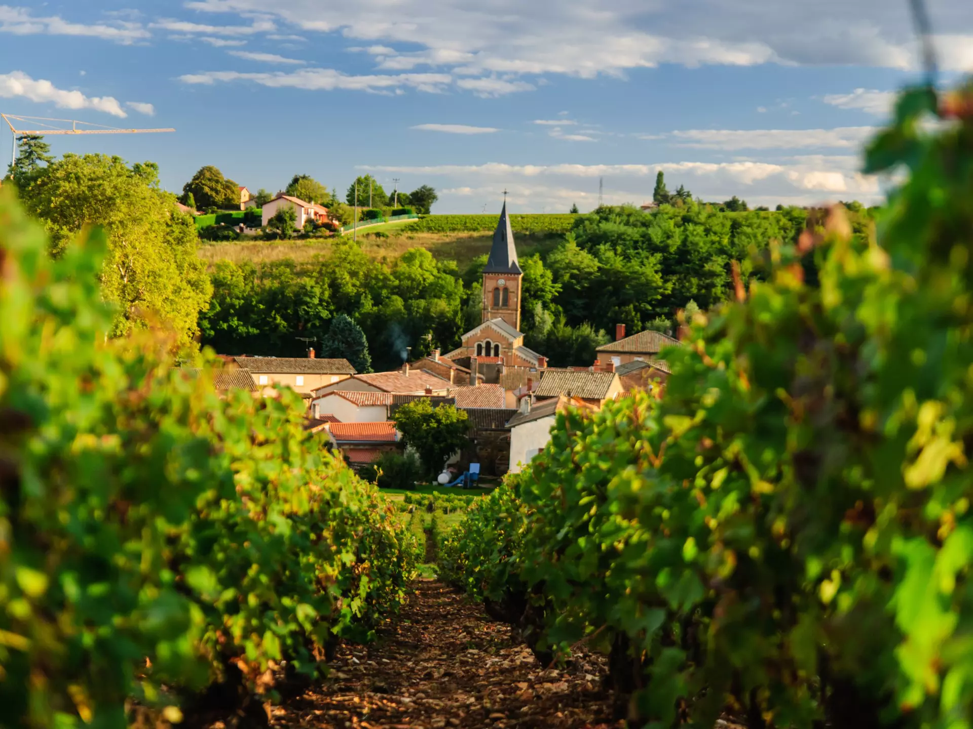 With scenic vineyards, charming historic villages and a thriving artisan scene, Beaujolais is the place to unwind. Marcin Kurek/Shutterstock