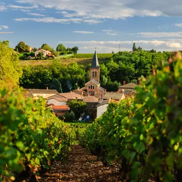 With scenic vineyards, charming historic villages and a thriving artisan scene, Beaujolais is the place to unwind. Marcin Kurek/Shutterstock