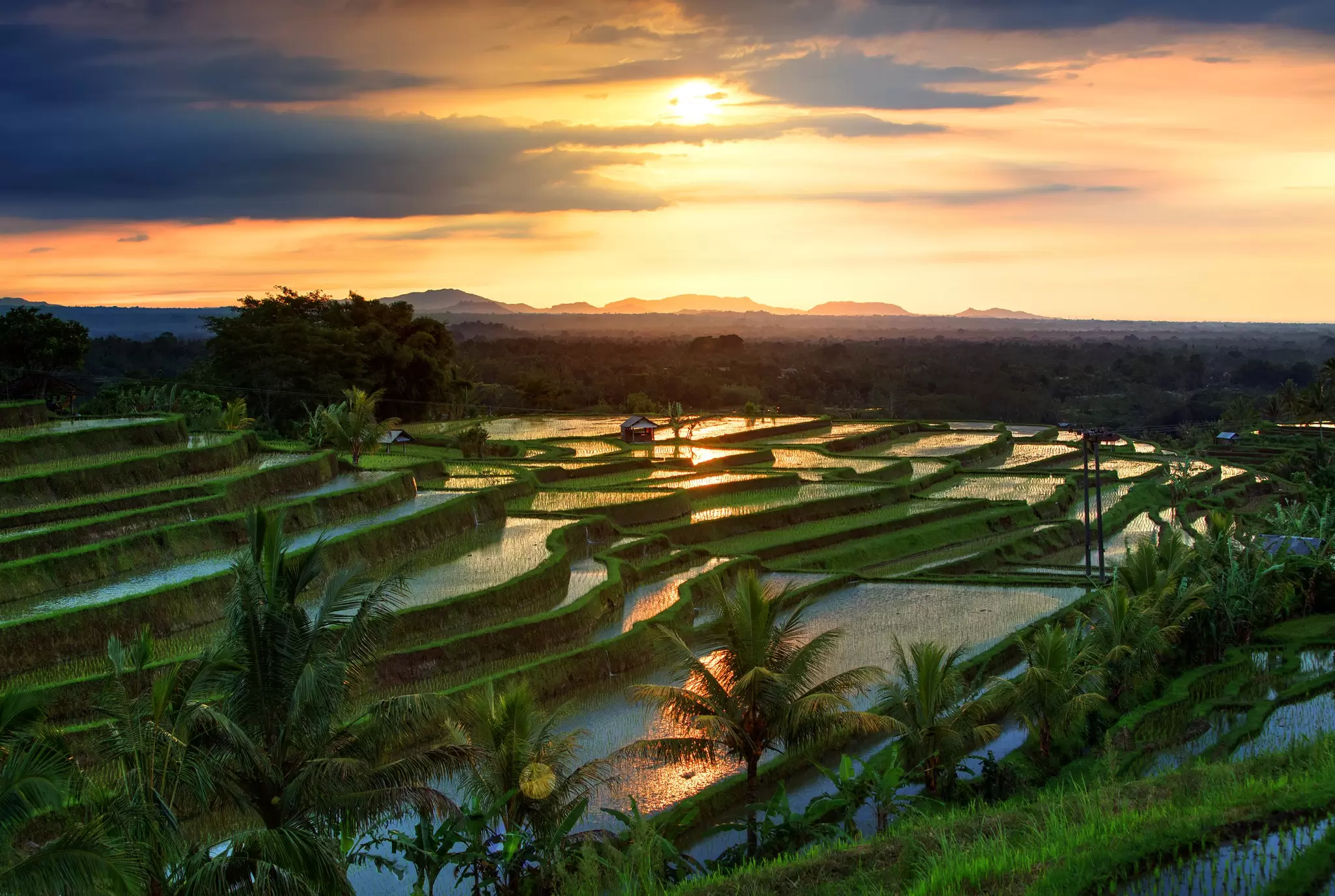 An aerial view of the morning light reflecting off the water of terraced ride paddies. The yellow glow of sunrise is seen in the sky.