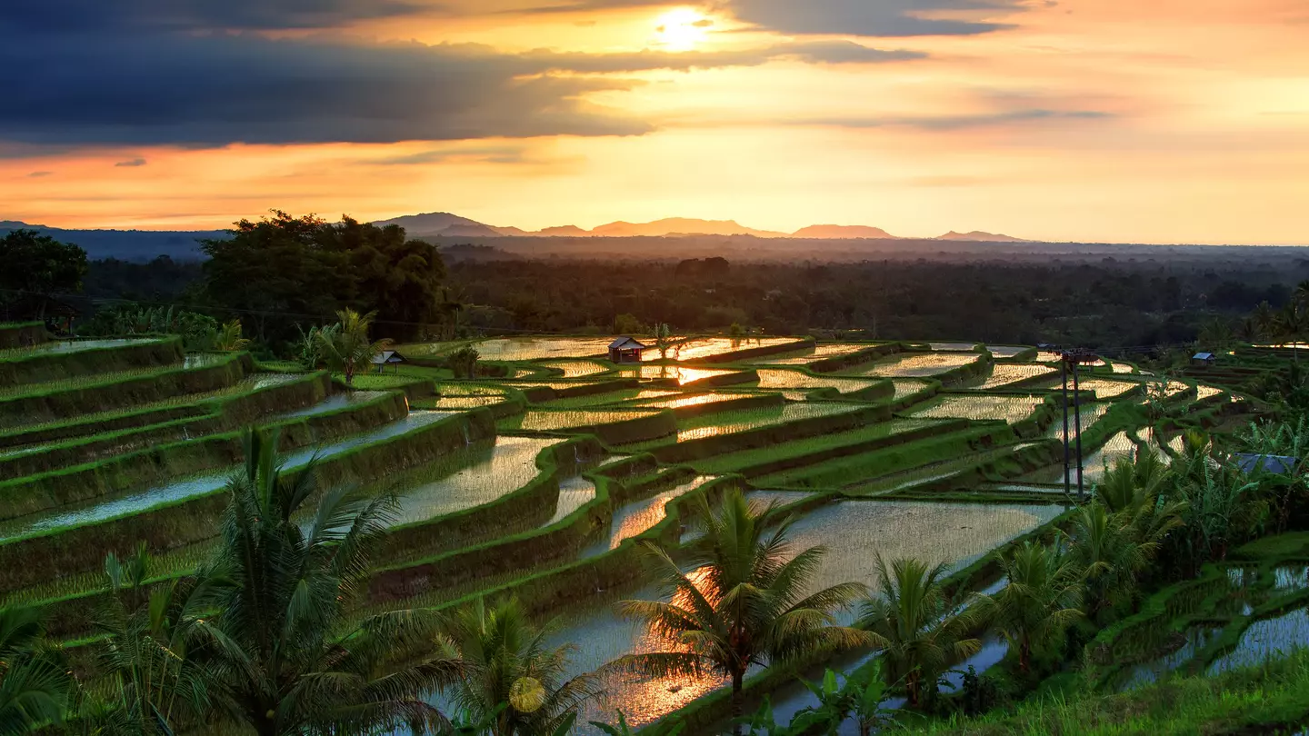 An aerial view of the morning light reflecting off the water of terraced ride paddies. The yellow glow of sunrise is seen in the sky.