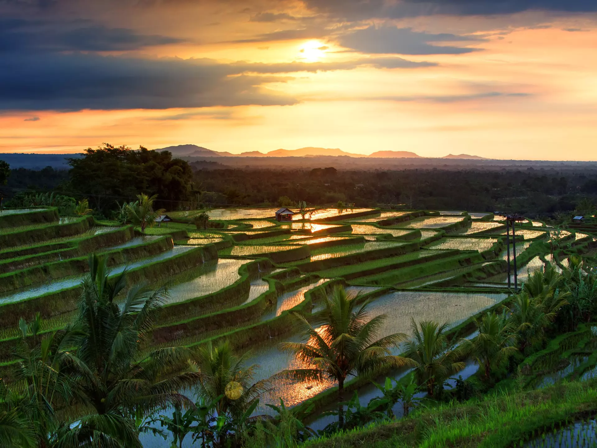 An aerial view of the morning light reflecting off the water of terraced ride paddies. The yellow glow of sunrise is seen in the sky.
