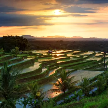An aerial view of the morning light reflecting off the water of terraced ride paddies. The yellow glow of sunrise is seen in the sky.