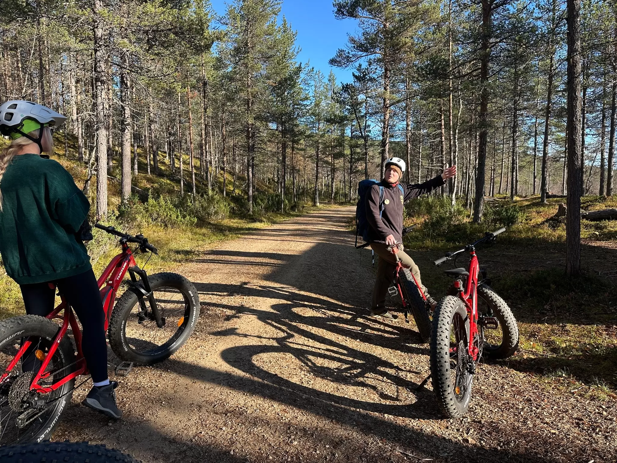 Two people cycling on a woodland trail in Finnish Lapland. 