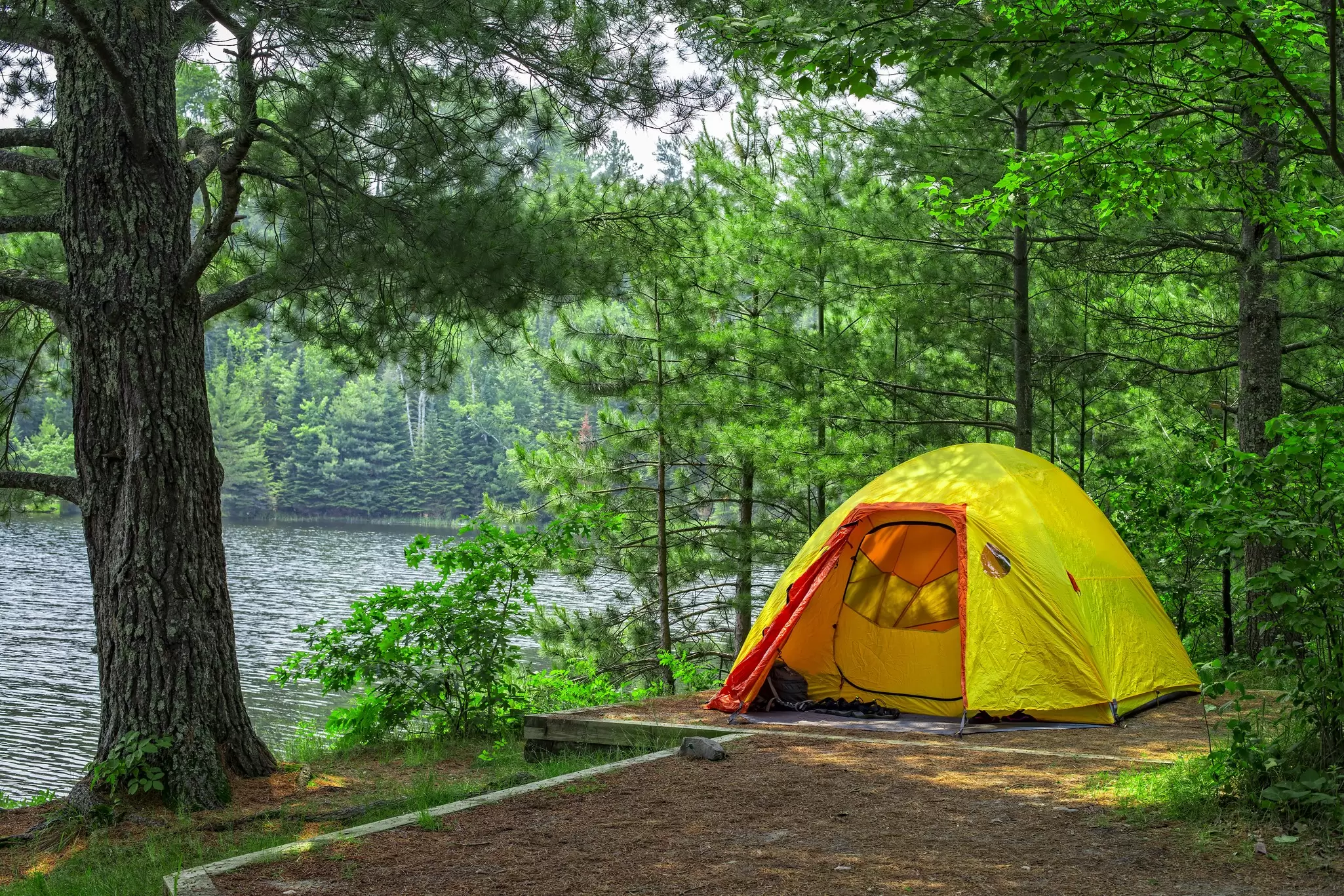 A yellow tent under trees by a lake.