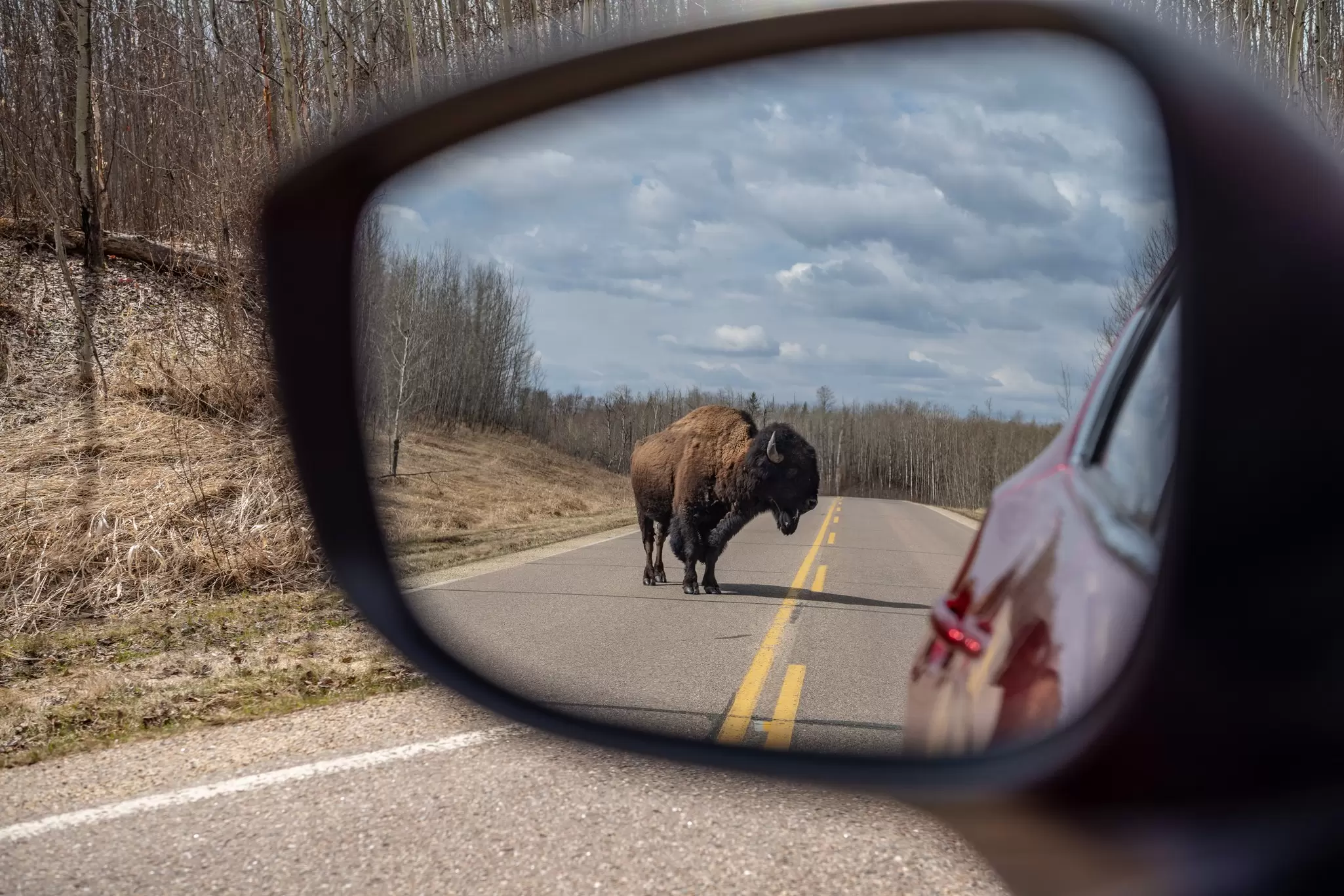 Get to know the diverse landscapes and cultures of Alberta on this road trip from Edmonton through the Ukrainian Bloc. Shutterstock