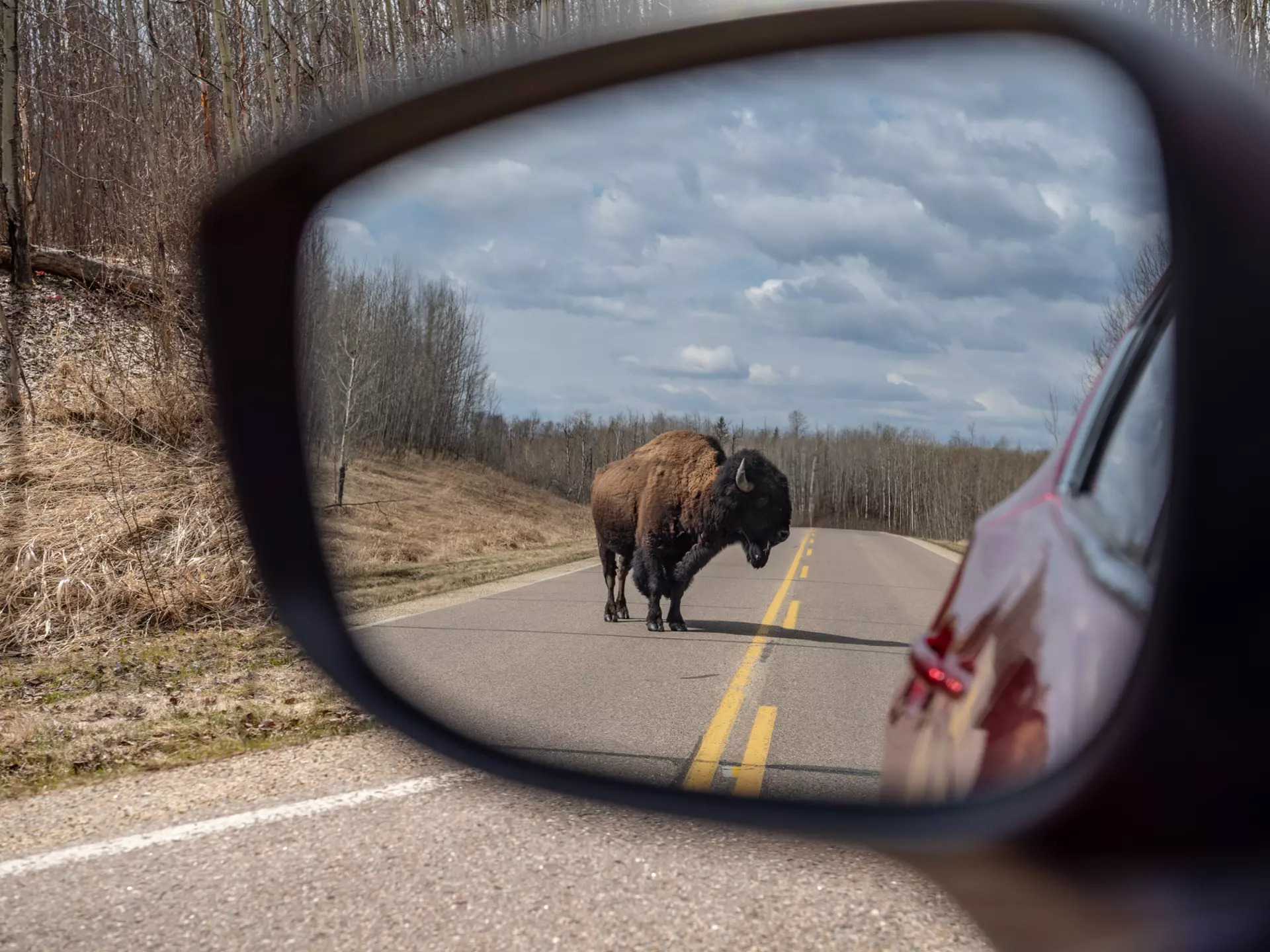 Get to know the diverse landscapes and cultures of Alberta on this road trip from Edmonton through the Ukrainian Bloc. Shutterstock