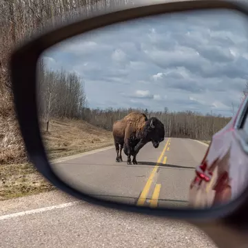 Get to know the diverse landscapes and cultures of Alberta on this road trip from Edmonton through the Ukrainian Bloc. Shutterstock