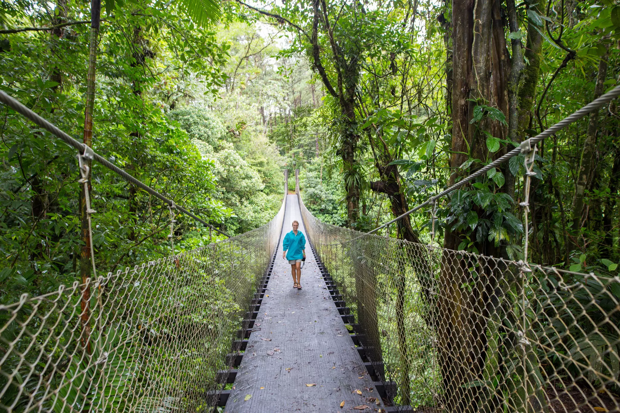 Hanging bridge - Monteverde region - Costa Rica