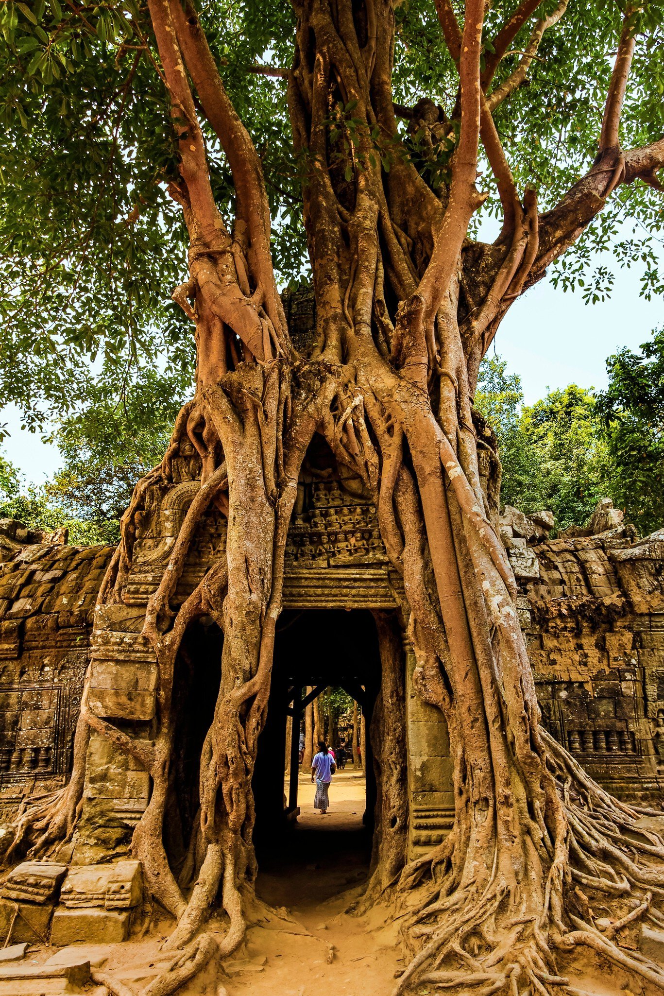 Cambodia.