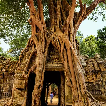 Cambodia.