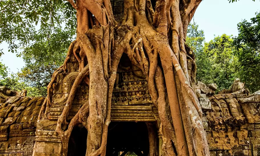 Cambodia.