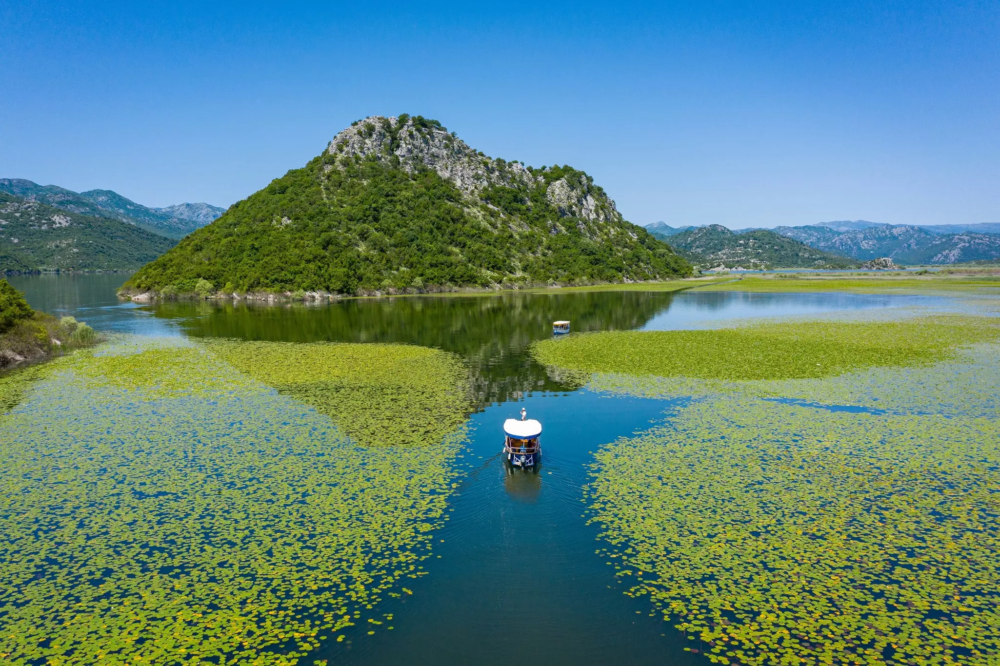 A boat on a blue lake with green plants floating on the surface.