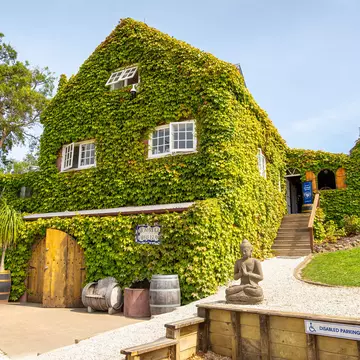 Wine-tasting classes are on offer © Airbnb Online Experiences