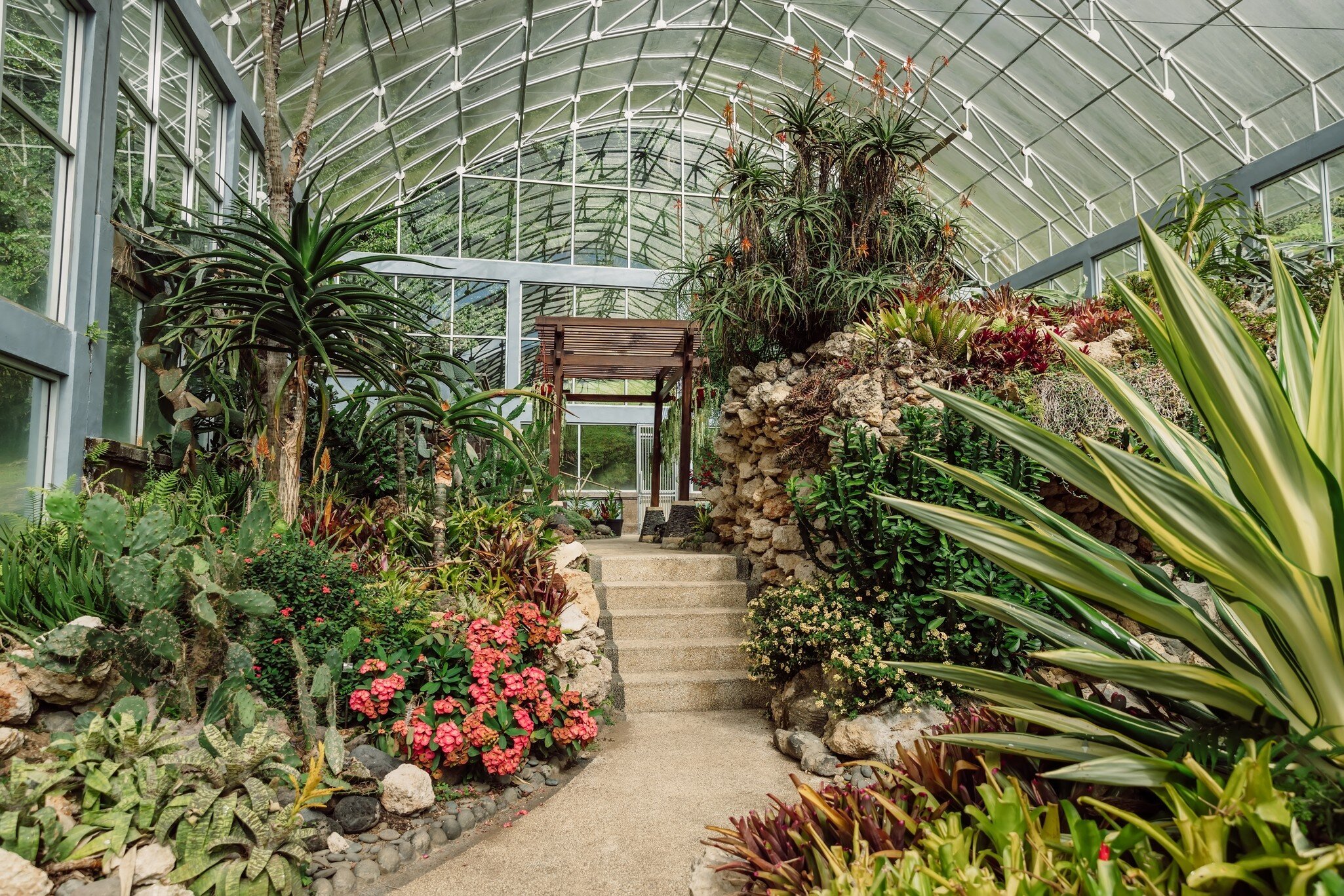 Cactus garden in glass house in botanic garden at Bali island, License Type: media, Download Time: 2026-02-26T23:55:46.000Z, User: Eointloughney87, Editorial: false, purchase_order: 56530 - Guidebooks, job: Global Publishing-WIP, client: Indonesia 15, other: Eoin T Loughney