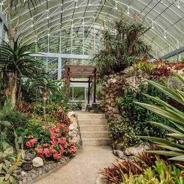 Cactus garden in glass house in botanic garden at Bali island, License Type: media, Download Time: 2026-02-26T23:55:46.000Z, User: Eointloughney87, Editorial: false, purchase_order: 56530 - Guidebooks, job: Global Publishing-WIP, client: Indonesia 15, other: Eoin T Loughney