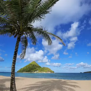 An empty pale-sand beach under a leaning coconut palm, with a steep green pyramid-shaped island offshore across turquoise water.