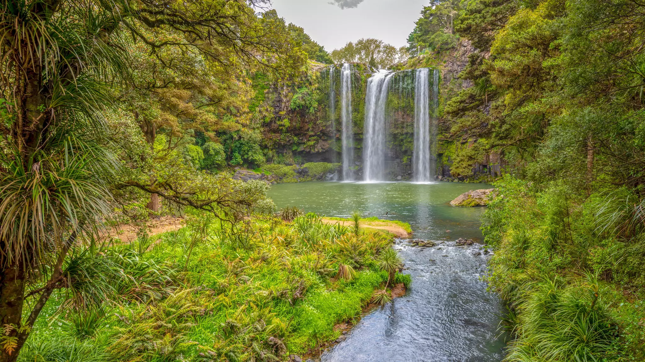 A waterfall plunges into a pool in dense green woodland