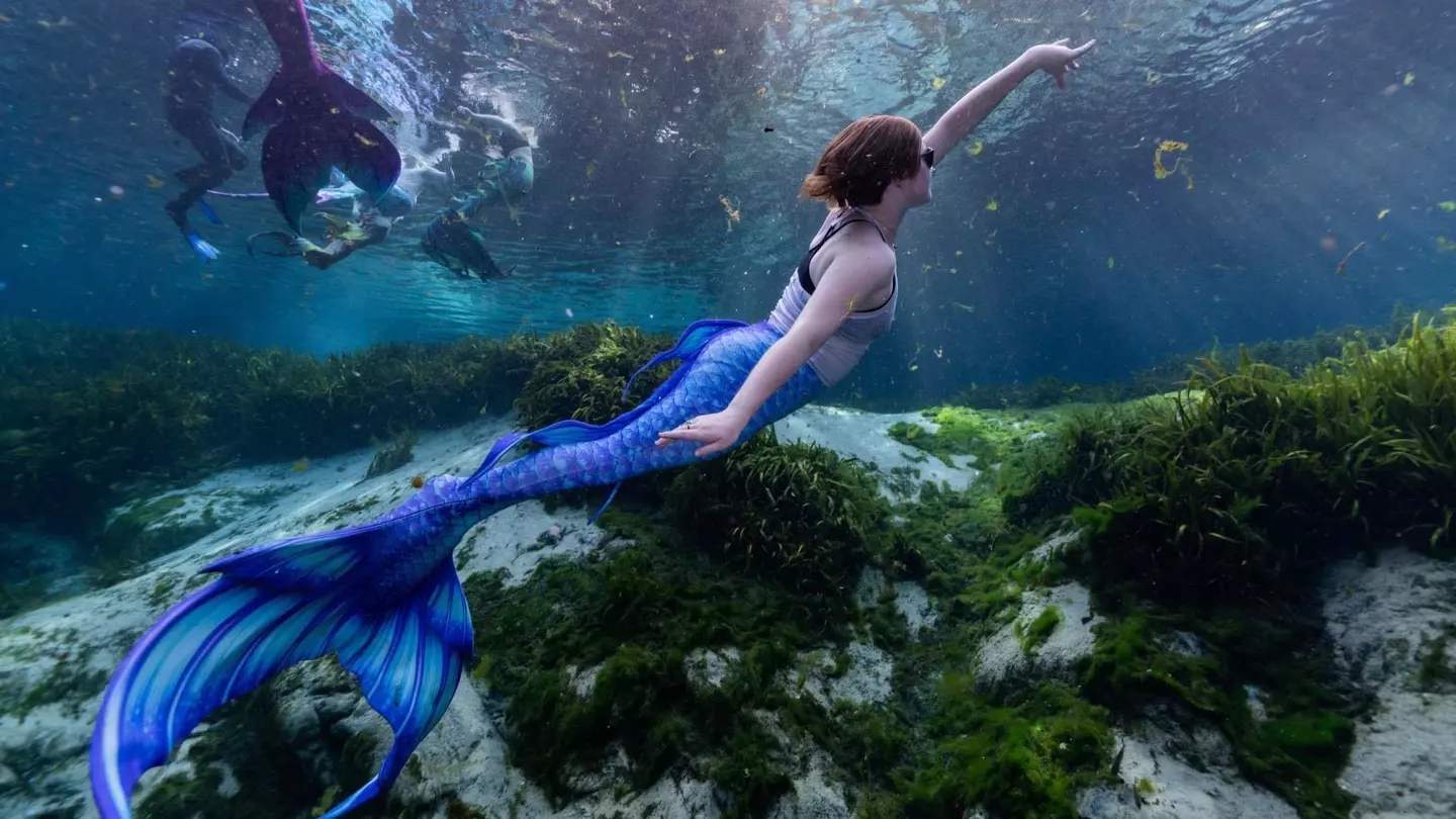 Mermaid Cecíl Mullan dives through the water in a Florida spring © Dobson Ayerule