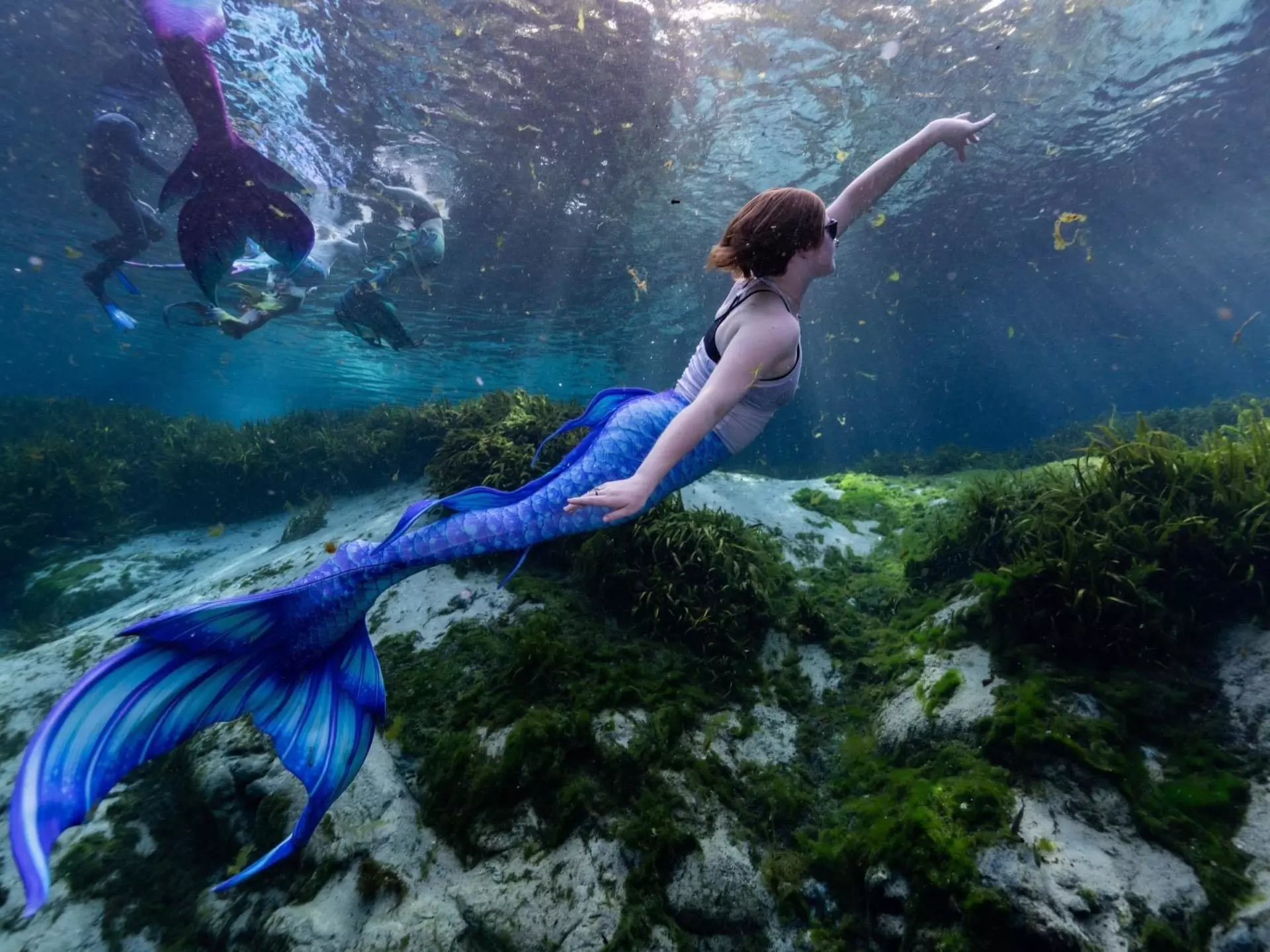 Mermaid Cecíl Mullan dives through the water in a Florida spring © Dobson Ayerule