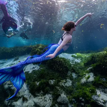 Mermaid Cecíl Mullan dives through the water in a Florida spring © Dobson Ayerule