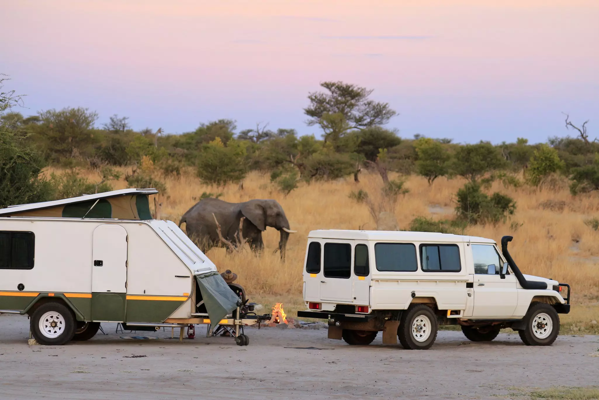 A four-wheel drive with trailer parked up at a campsite with an elephant wandering nearby.