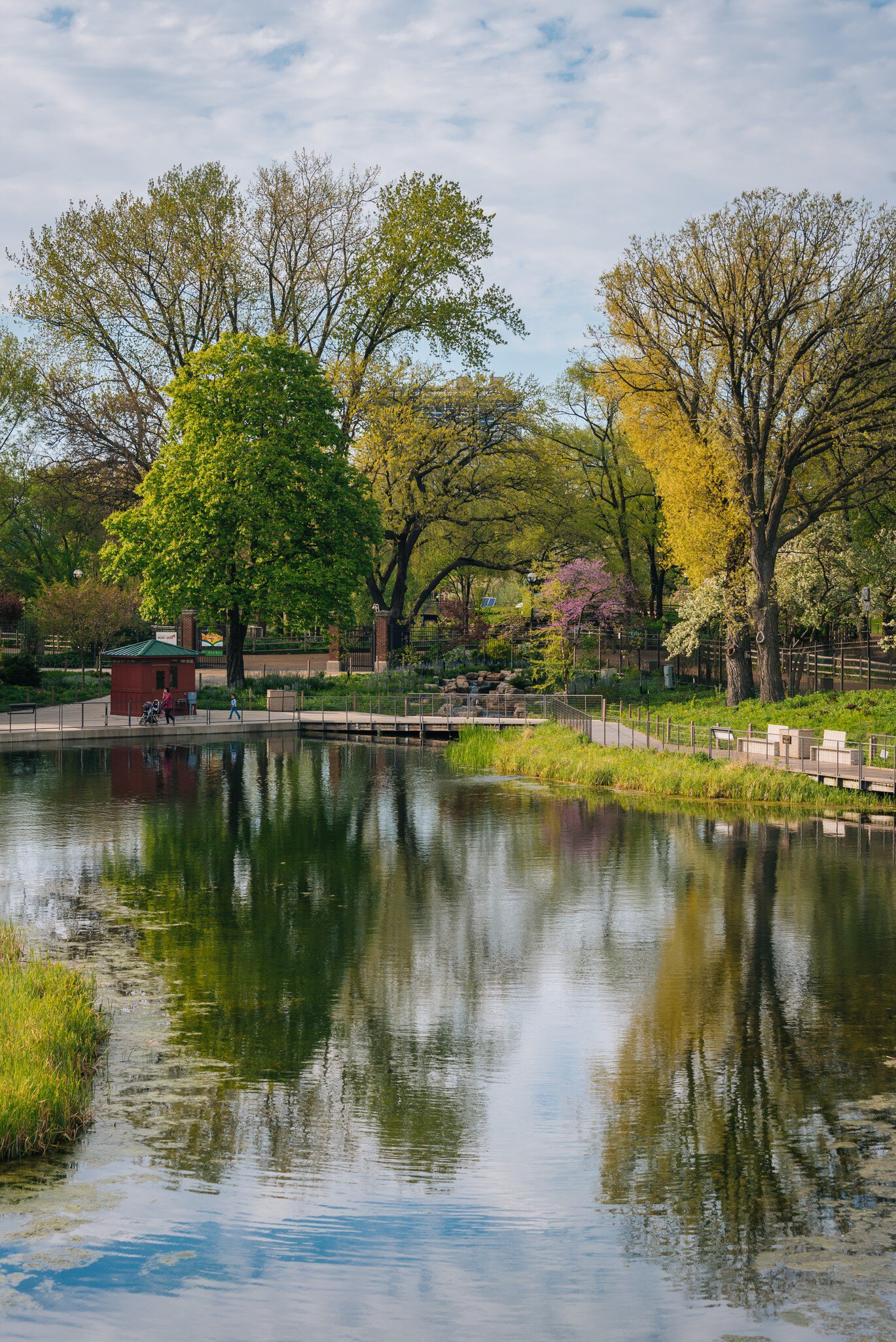 The South Pond at Lincoln Park in Chicago, Illinois.