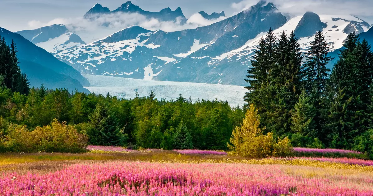 11 of the best things to do in Juneau, Alaska - Lonely Planet