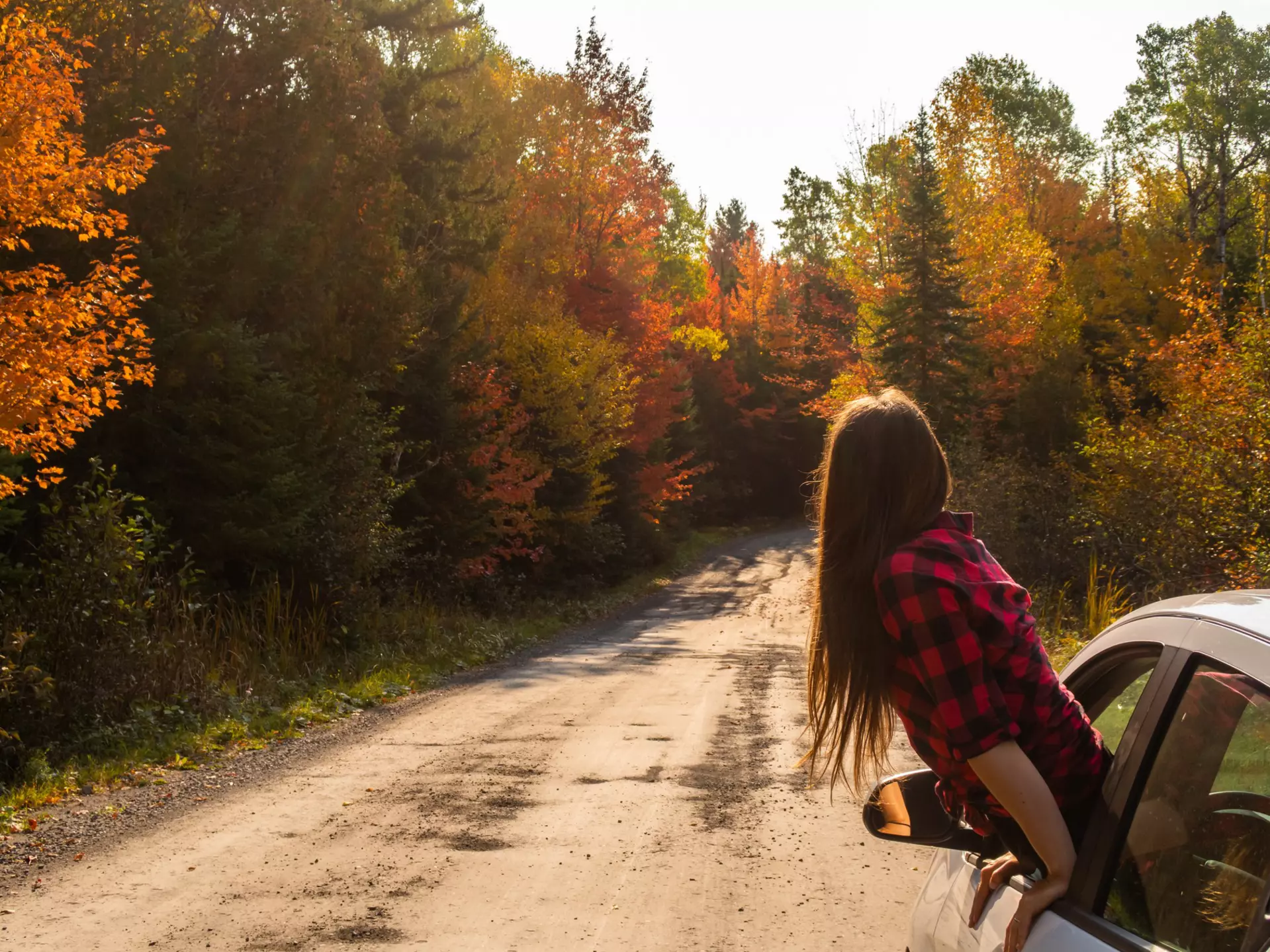 Young woman hanging out of a car window in front of fall trees in Quebec
1835012056
adult, adventure, autumn, autumnal, beautiful, beauty, canada, canadian, cantons de l'est, car, driver, driving, face, fall, female, forest, freedom, frontenac, girl, hair, hanging, happiness, happy, journey, leaves, lifestyle, lumberjack, national, nature, north america, outdoor, park, people, person, portrait, posing, pretty, quebec, road, season, smile, transport, transportation, travel, trees, vacation, vehicle, window, woman, young