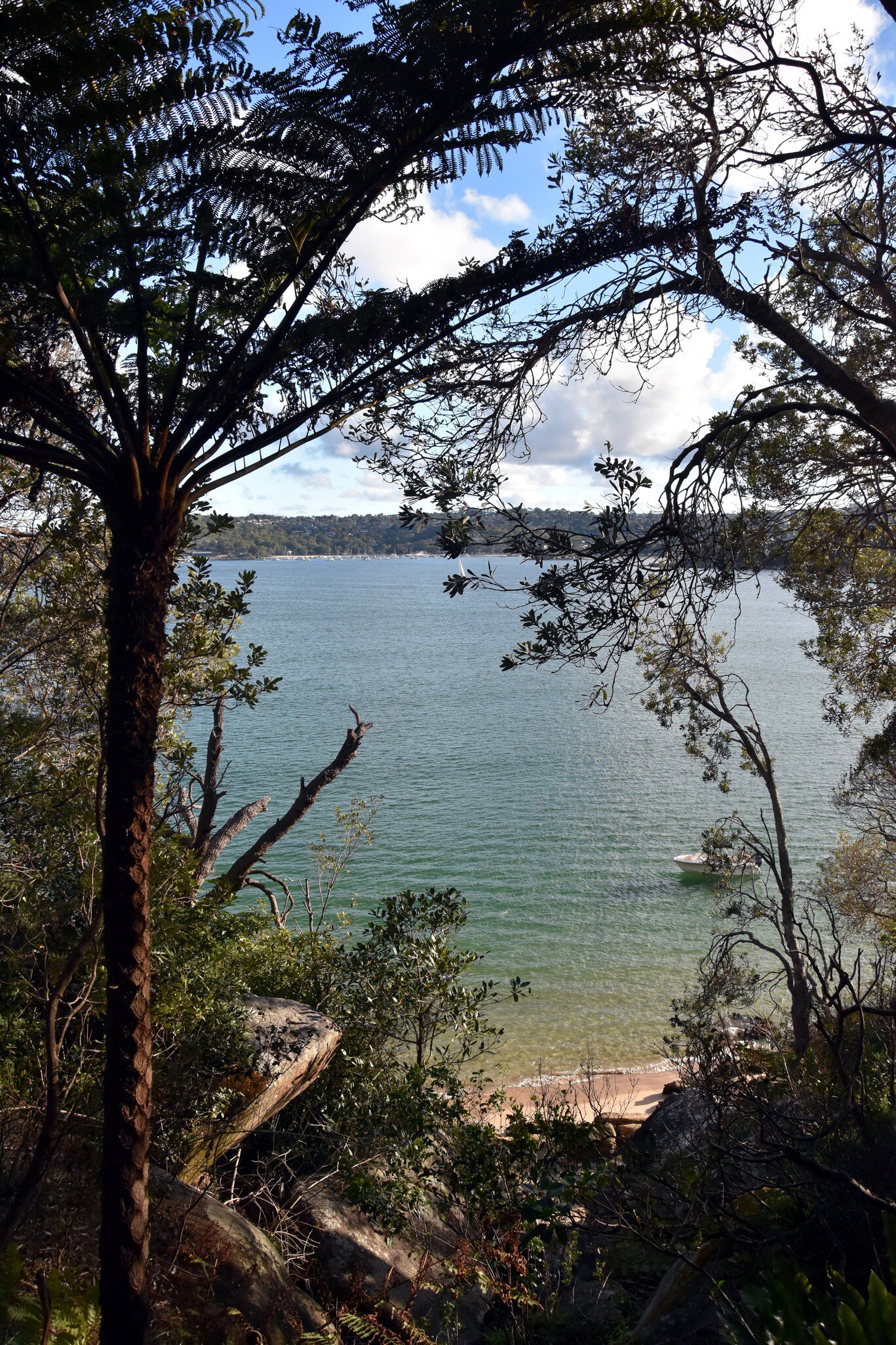 Castle Rock beach view from Castle Rock Track which is part of the Manly to Spit Bridge Scenic Walk across Sydney Harbour National Park and Dobroyd Head. Sydney, Australia.