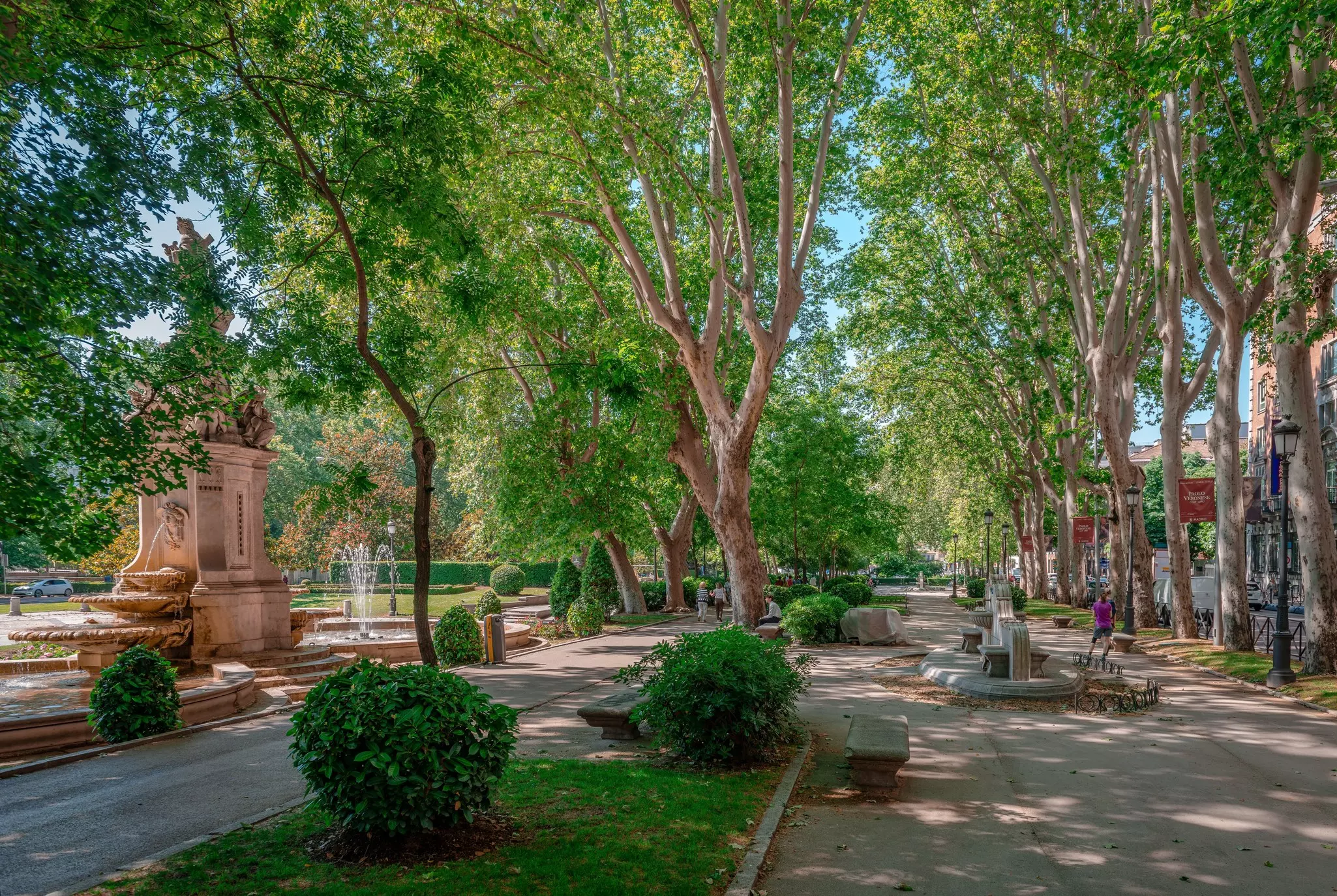 A pedestrian path in a city is lined with trees and sculptures.