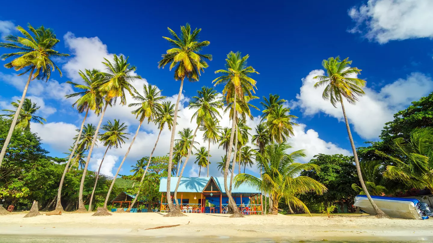Colorful shack on a beach surrounded by palm trees in San Andres y Providencia, Colombia