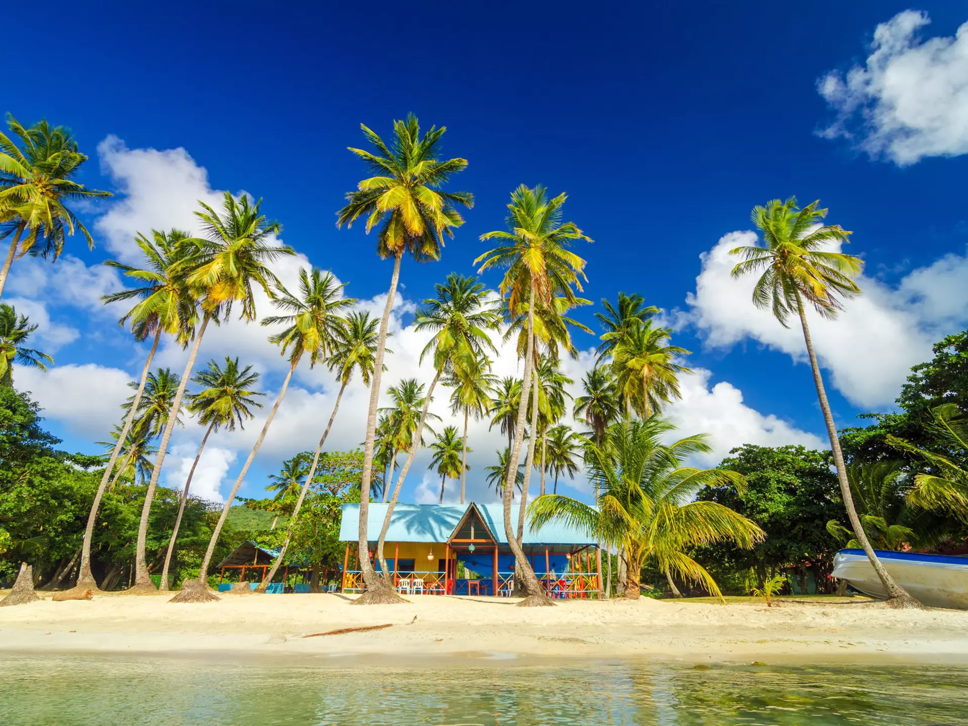 Colorful shack on a beach surrounded by palm trees in San Andres y Providencia, Colombia