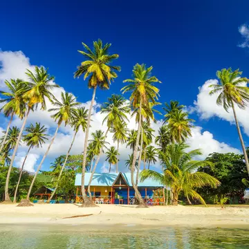 Colorful shack on a beach surrounded by palm trees in San Andres y Providencia, Colombia
