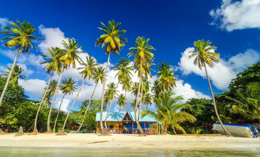 Colorful shack on a beach surrounded by palm trees in San Andres y Providencia, Colombia